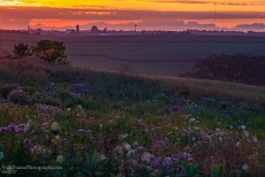 Vicki France Photography Low Light Driftless Landscape