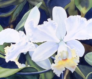 Opulent Orchids, watercolor by Tamlyn Akins