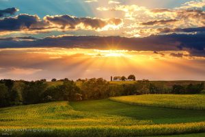 Vicki France Photography: sun peaks out from behind clouds