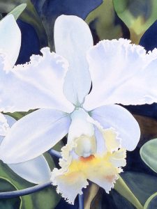 Tamlyn Akins, 'Opulent Orchids' (detail), watercolor
