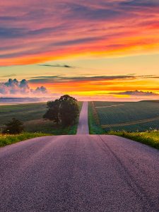 Vicki France Photography: Country Road at Sunset