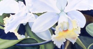 Tamlyn Akins hero image of watercolor painting or orchids