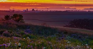 Vicki France Photography: photo of Mount Horeb area valleys and skyline at dusk