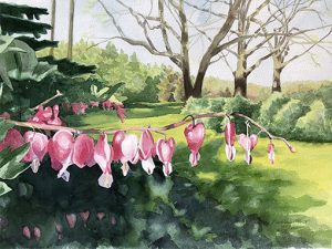 Pamela Grabber 'Backyard Bleeding Hearts' watercolor