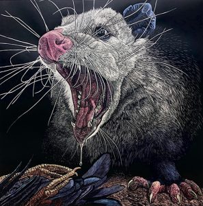 S.V. Medaris' hand-colored Woodcut 'Possum Defensive'