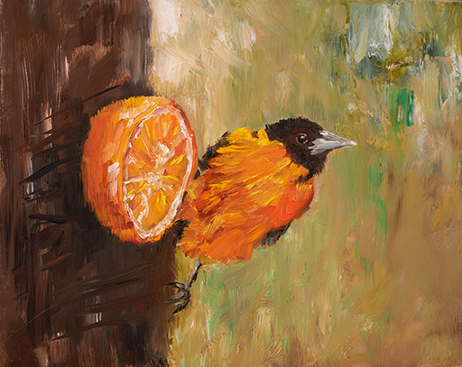 Judy Robb, 'Oriole and Orange,' oil