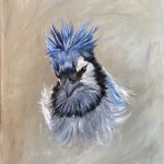 Judy Robb, Blue Jay Study 1, oil