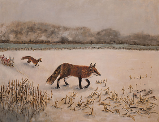Judy Robb, 'The Seekers, Two Foxes', Oil on Linen