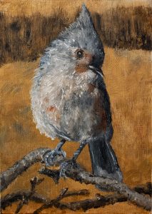 Judy Robb, 'The Tufted Titmouse', oil