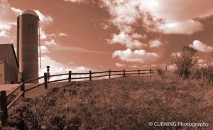 Jessica Curning-Kuenzi, 'Beautiful Day on the Farm' photograph